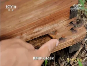 2022 年 11 月 22 集国语中字 720P《跟着书本去旅行》纪录片百度网盘资源-小文资源网