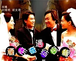 2004《酒店奇遇结良缘》[汉语普通话/全1集4.52G][百度下载]
