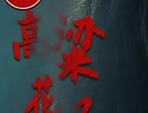 必看！2012《高粱花子》全1集4.92G 汉语普通话 百度下载-小文资源网