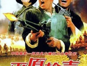 2001 中国经典《平原枪声》1080P 国语中字 MKV 百度网盘资源