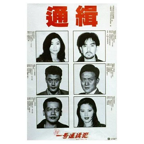 [1994][香港][省港一号通缉犯][国语中字][MKV][375MB][百度网盘]