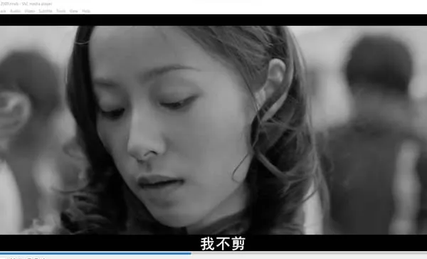 [2009][中国][南京！南京！][国语中字][MKV][10.50GB][百度网盘]