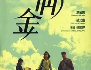 1989 香港经典《八两金》：洪金宝 张艾嘉主演 粤国双语中字 801M 高清 mkv 资源