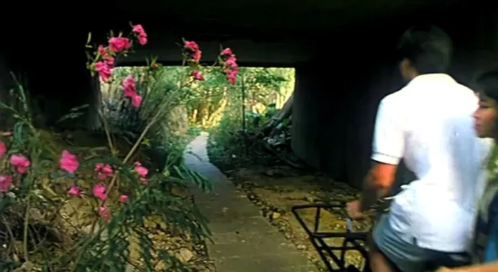 [1986][香港]《操行零分》[国粤双语中字][何启南_刘芊蒂_梁少熊_鄧展鵬][mkv_600m]