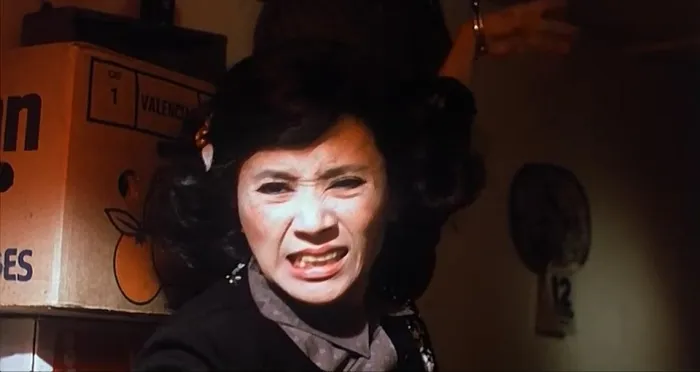 [1988][香港]《法内情》[刘德华_叶德娴_秦沛][国粤双语外挂中字][mkv_1.36G]