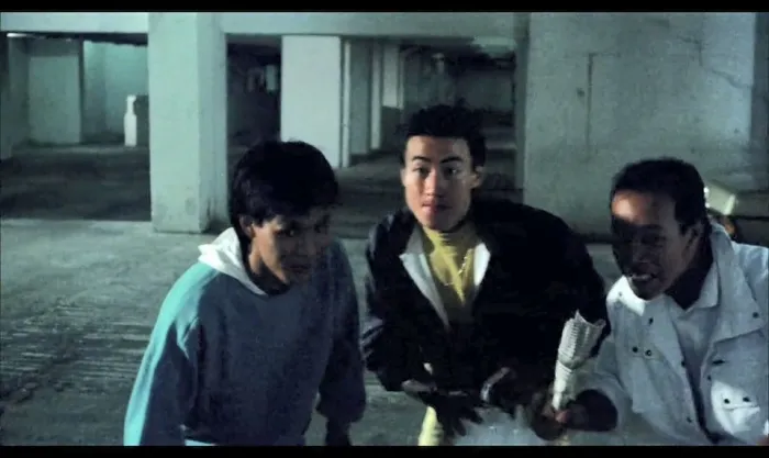 [1989][中国香港]《皇家飞凤》[杨盼盼_高飞_狄威][国粤双语中字][WEB-DL.1080p][mkv_1.42G]