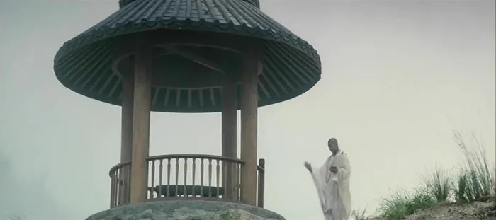 [1993][香港]《一代佳人张曼玉之青蛇》[国粤双语无字][MKV_2.12GB][王祖贤_赵文卓_张曼玉]