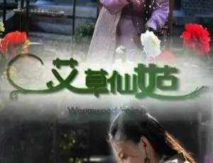 2013 中国大陆经典影片《艾草仙姑》国语中字 5.08GB 百度网盘资源-小文资源网