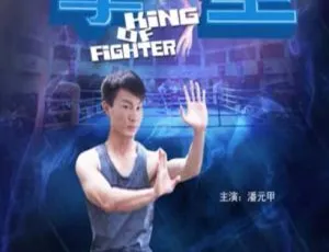 2011 中国大陆《拳皇》国语中字 5.19GB 百度网盘资源