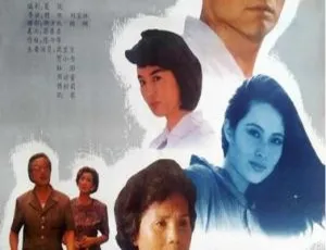 1991 中国大陆经典《情归鹭岛》国语中字 1.90GB 百度网盘资源