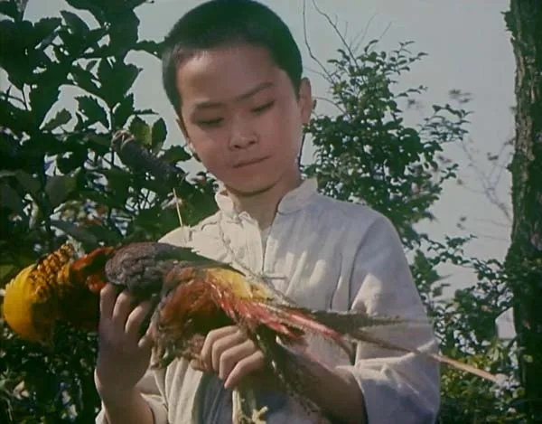 [1982][中国大陆]《赛虎》[国语中字][1.96GB][百度网盘]