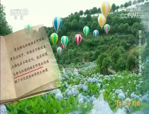 2022年7月20集国语中字720P《跟着书本去旅行》纪录片百度网盘资源-小文资源网