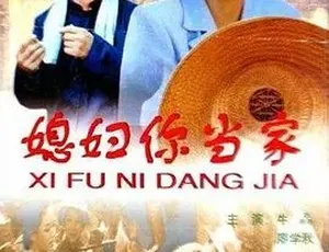 1998年《媳妇你当家》 汉语普通话全1集4.76G 百度下载-小文资源网