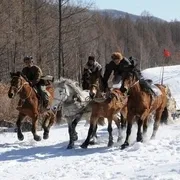 2009《镜泊湖的枪声》[剧情/战争][汉语普通话/全1集4.88G][百度下载]