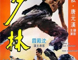 1976 香港经典《北地虎》！嘉禾无台标高清修复 1.40G 百度盘资源-小文资源网