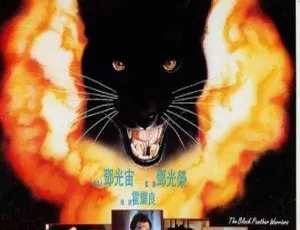 1994 香港动作大片《黑豹天下》 1080i_TS 高清 国语中字 90 云盘/百度盘资源