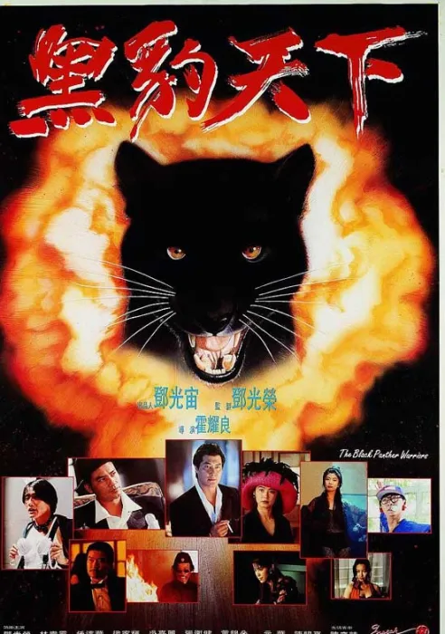 [1994][香港]《黑豹天下》[90云盘][动作][国语中字][1080i_TS_6.53G][BD][百度盘]