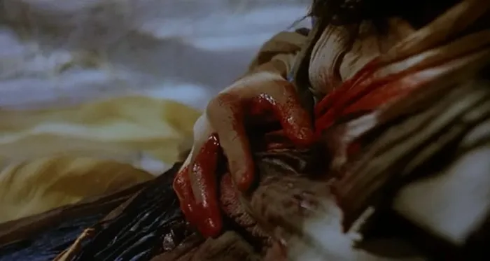 [1994][香港] 《东邪西毒(原版)》[国语中字] [DVDRip_MKV_1.48G]