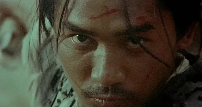 [1994][香港] 《东邪西毒(原版)》[国语中字] [DVDRip_MKV_1.48G]