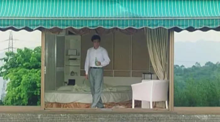 [1993][香港] 《黄蜂尾后针》 [DVDRip_avi_700.16MB]