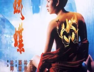 1993 香港经典《机密档案实录火蝴蝶》国语无字 600m mkv 百度盘资源-小文资源网