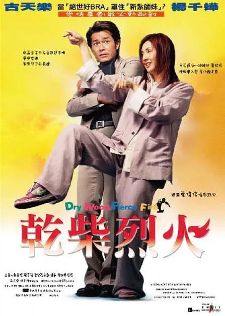 [2002][香港]《干柴烈火》[国粤双语中字][TS_1080P_MKV_2.42G][古天乐_杨千嬅_陈慧珊_曾雪华_黄伟文]