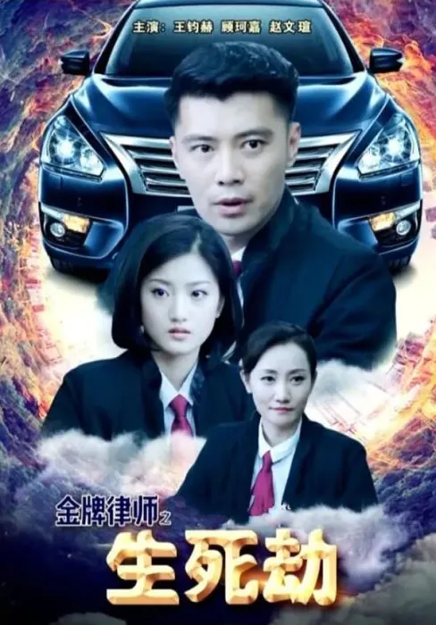 [2018][中国大陆] 《金牌律师之生死劫》[国语中字][4.89GB][ 百度网盘]