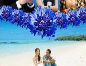 2010 中国大陆电影《蓝色矢车菊》国语中字 5.15GB 百度网盘资源-小文资源网