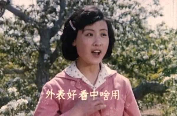 [1983][中国大陆] 《红柳绿柳》[国语中字][2.17GB][ 百度网盘]
