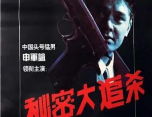1995 中国大陆《秘密大追杀》国语中字 1.99GB 百度网盘资源