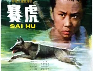 1982 中国大陆经典影片《赛虎》 1.96GB 百度网盘资源速来