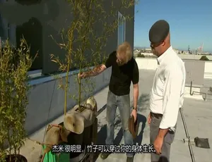 1080P无水印！《流言终结者》第六季13集英语中字 百度网盘资源-小文资源网