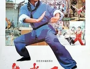 必看！1984 经典《南拳王》：动作剧情盛宴，4.56G 全 1 集百度速下