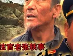 必看！2003 高分剧情喜剧《法官老张轶事之审牛记》全 1 集 4.77G 百度下载