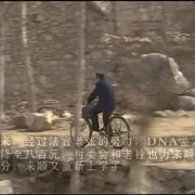 2003《法官老张轶事之审牛记》[剧情/喜剧][汉语普通话/全1集4.77G][百度下载]