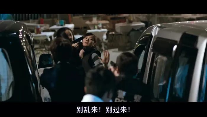 [2010][香港][撕票风云][双语中字][RMVB][799MB][百度网盘]