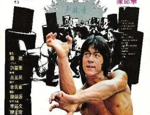 1976 香港经典《少林木人巷》国粤双语中字 1.50GB 百度网盘资源