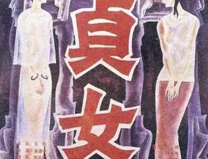 1987 中国经典电影《贞女》国语无字 648MB 百度盘资源