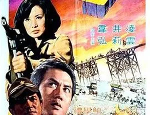 1976 香港邵氏经典《丁一山》 国语中字 720p MKV 430M 资源揭秘-小文资源网