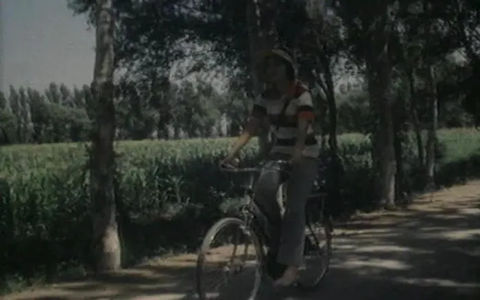 [1985][大陆]《红衣少女》[邹倚天 _ 罗燕 _ 朱旭][国语无字][mkv_422M]