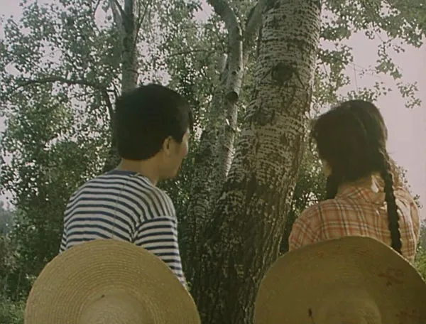 [1983][中国大陆]《白杨树下》[国语中字][1.89GB][ 百度网盘]