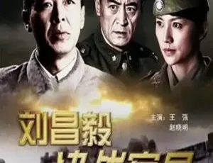 2009 中国大陆经典：刘昌毅决战宿县 国语中字 4.68GB 百度网盘资源