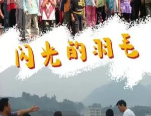 2008 中国大陆电影《闪光的羽毛》4.50GB 百度网盘资源-小文资源网