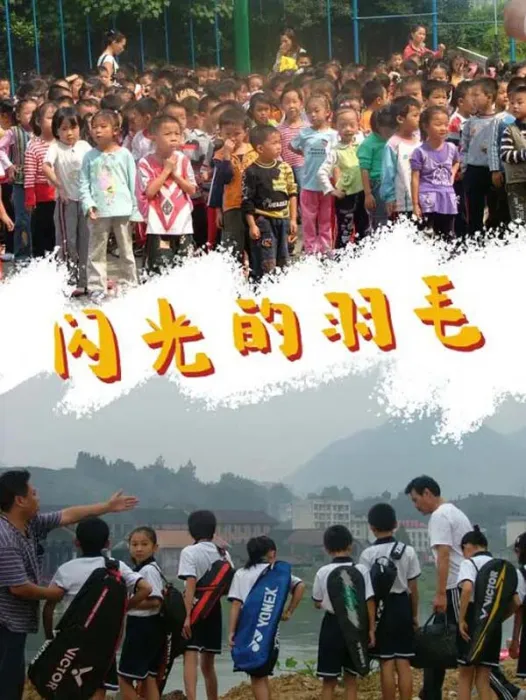 [2008][中国大陆]《闪光的羽毛》[4.50GB][百度网盘]