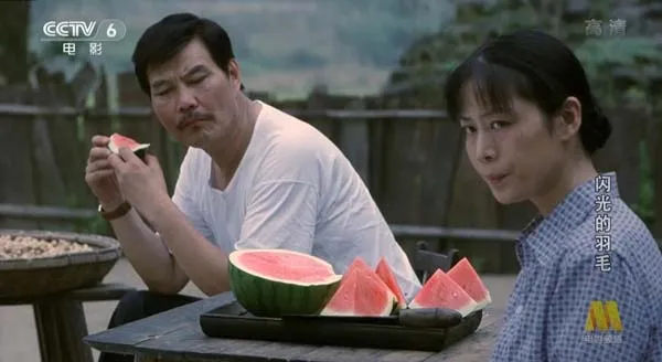 [2008][中国大陆]《闪光的羽毛》[4.50GB][百度网盘]