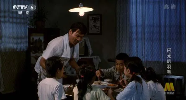 [2008][中国大陆]《闪光的羽毛》[4.50GB][百度网盘]