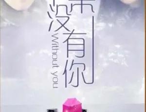 中国大陆 2013 神作《如果没有你》4.76GB 百度网盘资源-小文资源网