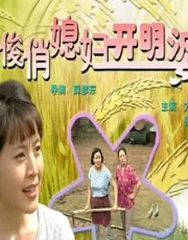2000《俊俏媳妇开明婆》[剧情/喜剧/家庭][汉语普通话/全1集4.57G][百度下载]