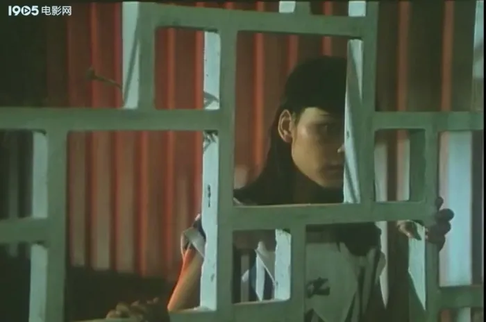 [1984][中国][雅马哈鱼档][国语无字][693MB][百度网盘]