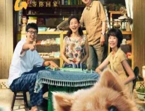 2023 中国大陆感人剧情片《忠犬八公》国语中字 2.46G 百度网盘资源
